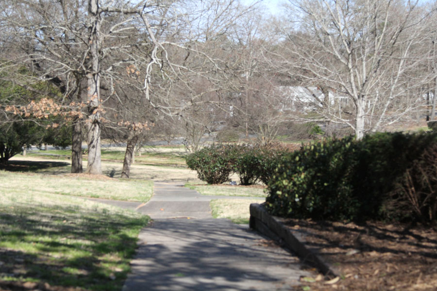 Confederate Park Trail