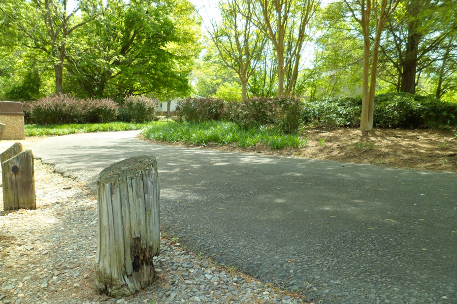 Friedheim Park Trail