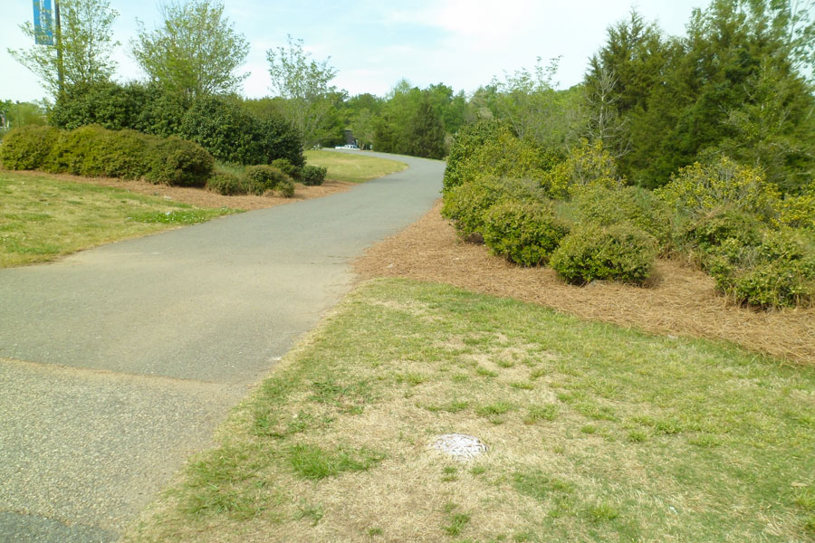 Manchester Meadows
