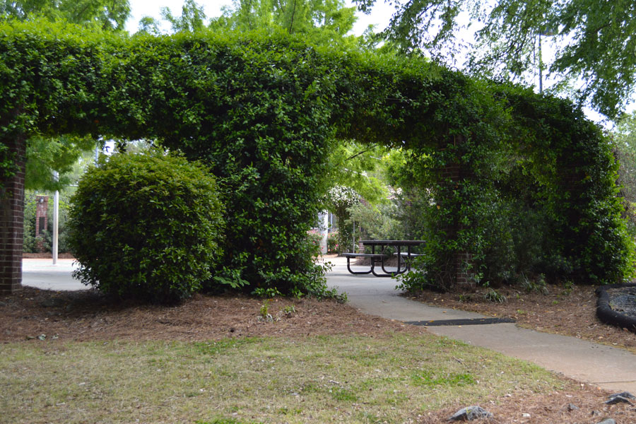Morgan Trail