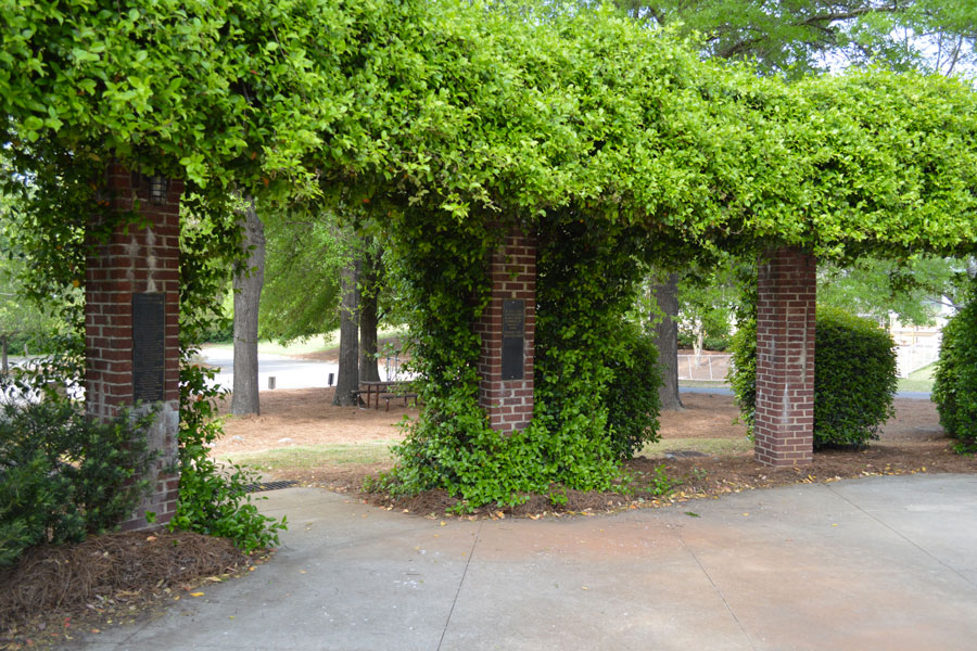 Morgan Trail