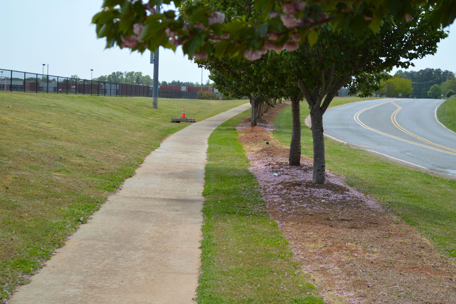 South  Pointe Trail